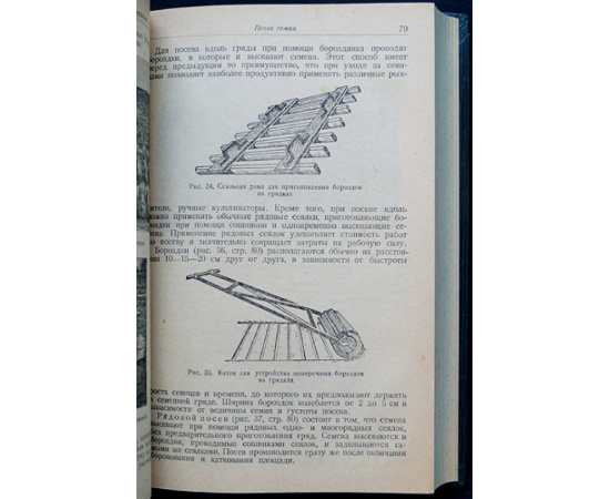 Заборовский Е.П. Лесные культуры.