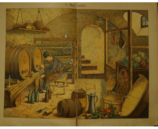 Иллюстрации для наглядного обучения юношества. Книга с картинками, содержащая 30 красочных картин. Новое издание Эдуарда Вальтера, дирек