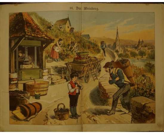 Иллюстрации для наглядного обучения юношества. Книга с картинками, содержащая 30 красочных картин. Новое издание Эдуарда Вальтера, дирек