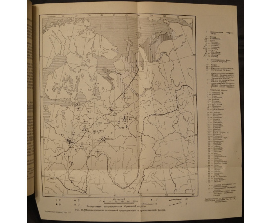 Герасимов И.П., Марков К.К. Ледниковый период на территории СССР: Физико-географические условия ледникового периода.