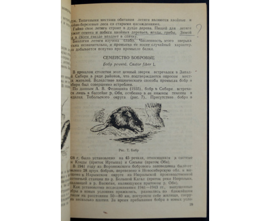 Бергер Н.М. Промысловые звери Западной Сибири.