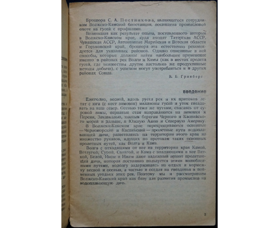 Постников С.А. Охота на гусей (с профилями).