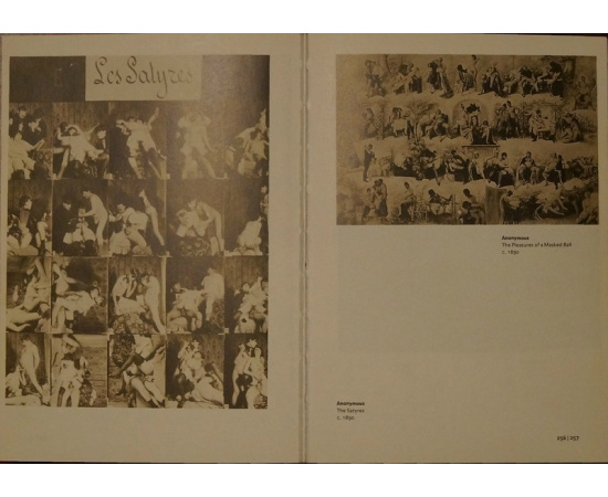 1000 Обнаженных. Коллекция Уве Шайда