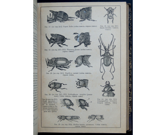 Дарвин Ч. Сочинения Чарльза Дарвина. Том II: Происхождение человека и половой подбор. Перевод проф. И. Сеченова.  О выражении ощущений у чел