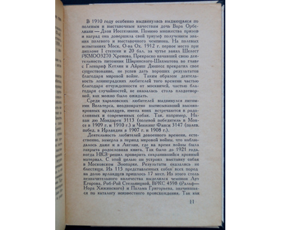 Пегов А. Ирландский сеттер.
