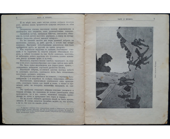 Чеглок А. Звери Центральной и Южной Африки: Като и Музири.