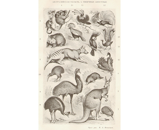 Большая Советская Энциклопедия. Первое издание (комплект из 65 книг)