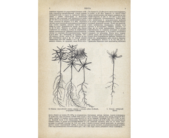 Полная энциклопедия русского сельского хозяйства. Комплект в 12-ти томах