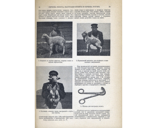 Полная энциклопедия русского сельского хозяйства. Комплект в 12-ти томах