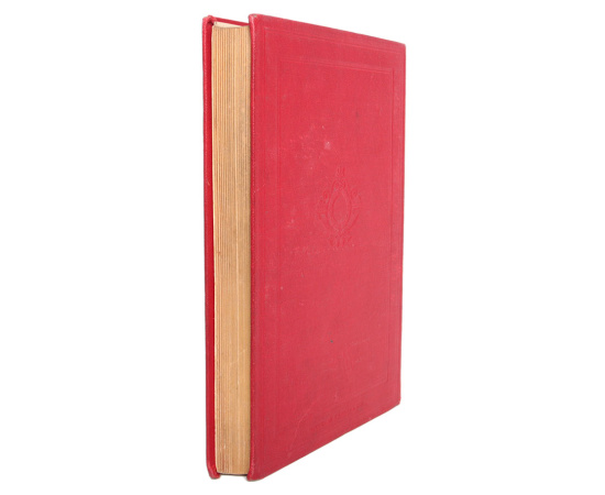 Елена-Робинзон. Приключения девочки на необитаемом острове