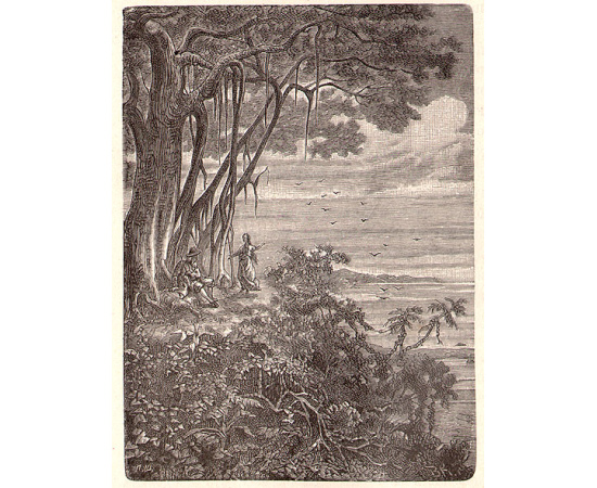 Елена-Робинзон. Приключения девочки на необитаемом острове