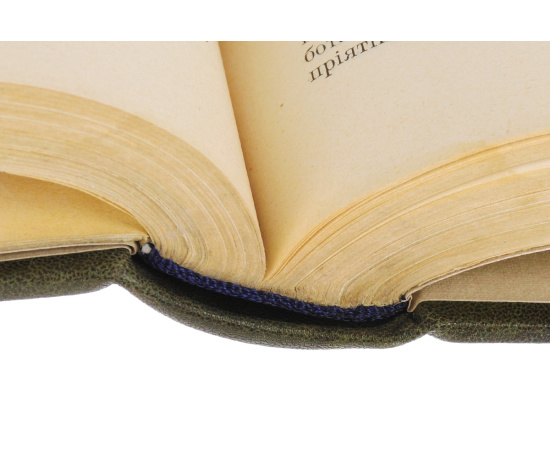 Очерки из истории Петра Великого и его времени