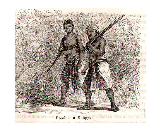 Как я отыскал Ливингстона: Путешествия, приключения и открытия в Средней Африке, и четырехмесячное пребывание с доктором Ливингстоном