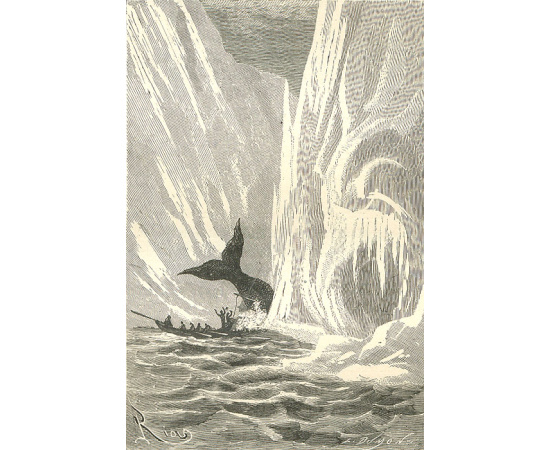 Путешествия и приключения капитана Гаттераса