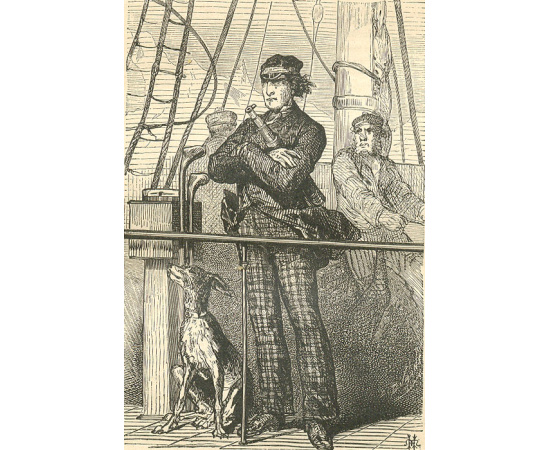 Путешествия и приключения капитана Гаттераса