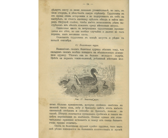 Янсон Леонард. Конволют. Охота на зверя, лесную, водяную и болотную дичь