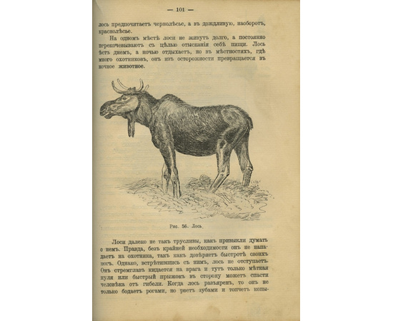 Янсон Леонард. Конволют. Охота на зверя, лесную, водяную и болотную дичь