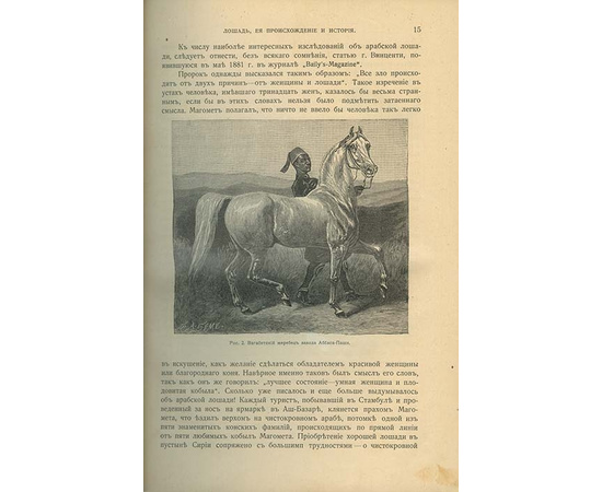 Урусов С.П. Книга о лошади. Настольная книга для каждого коннозаводчика, коневода, коневладельца и любителя лошади