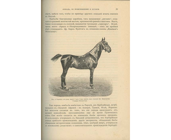 Урусов С.П. Книга о лошади. Настольная книга для каждого коннозаводчика, коневода, коневладельца и любителя лошади