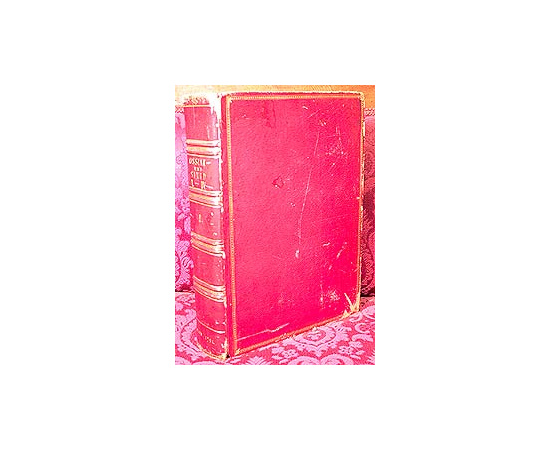 Ossians und Sineds Leder. Erster band книга