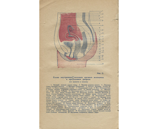 Техника брака. Совершенный брак. Опыт исследования и техники
