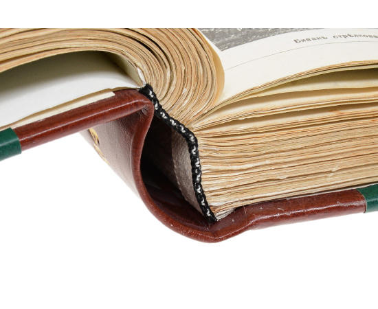 Журнал "Нива". Подшивка всех номеров за 1904 год (комплект из 2 книг)