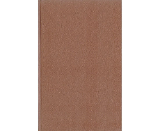 Господин Фицек