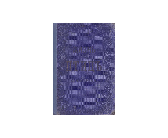 Жизнь птиц