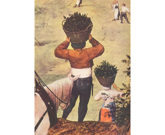 Pieter Brueghel d. A. Die Heuernte книга