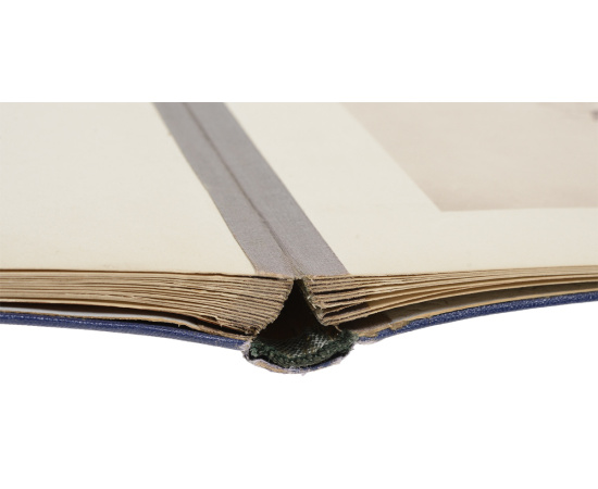 Иллюстрации к роману М. Ю. Лермонтова "Княжна Мери"