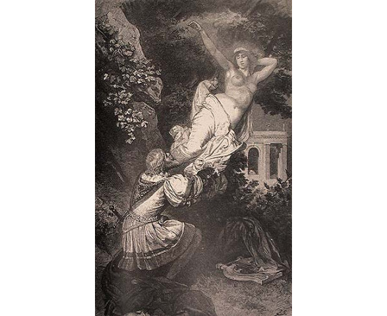 Goethes Faust книга