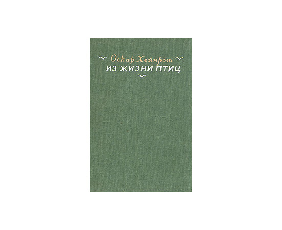 Из жизни птиц