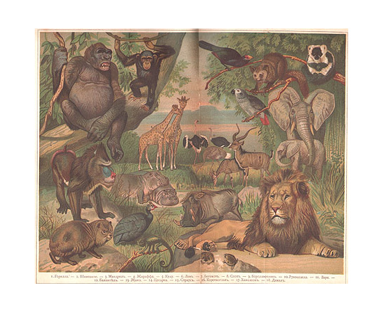 А. Э. Брэм. Жизнь животных (комплект из 3 книг)