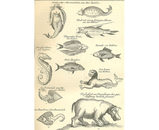 Всемирная география. Африка