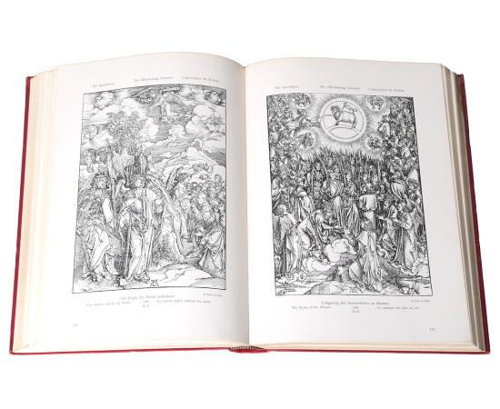 Durer. Des Meisters Gemaelde kupfertische und holzschnitte книга