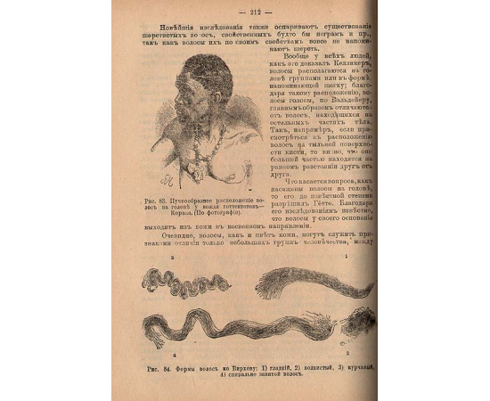 Растения и человек. Физические различия человеческих рас. История философии