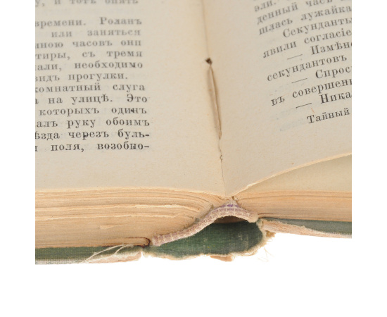 Полное собрание романов Александра Дюма (отца). Тайный заговор. Черный тюльпан