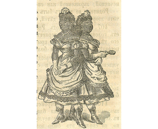 Каталог анатомо-патологического музея Гасснера