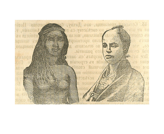 Каталог анатомо-патологического музея Гасснера