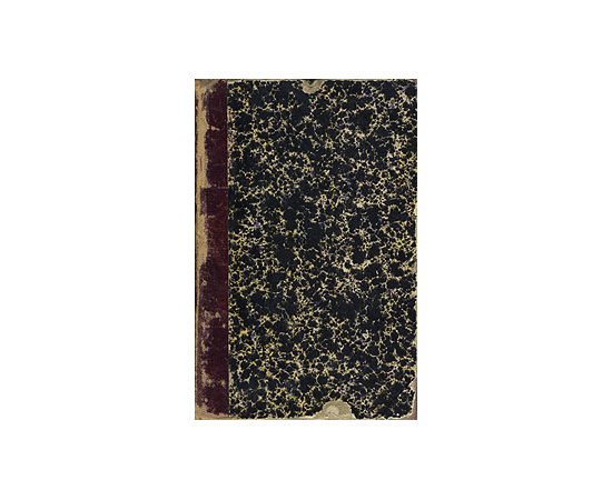 Ф. М. Достоевский. Дневник писателя. Критические и политические статьи. В трех томах. В одной книге