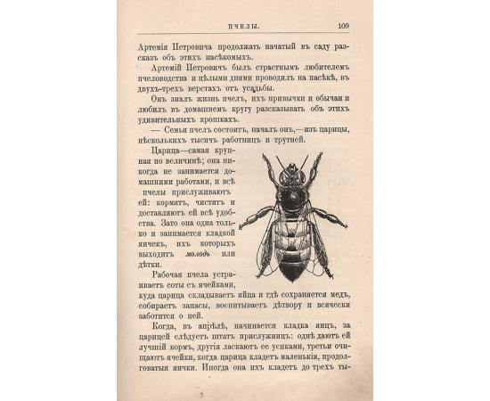 Среди цветов. Рассказы старого садовника