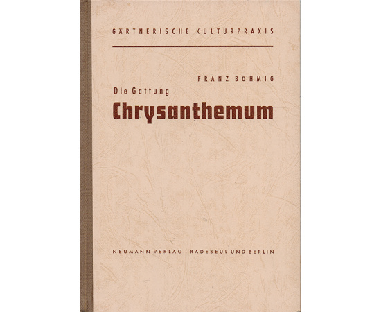 Die Gattung Сhrysanthemum