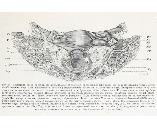 Общая терапия инфекционных болезней. Патология и терапия заикания и косноязычия. Излечение зубов. Химическая техника для врачей. Общая