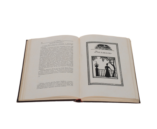 А. С. Пушкин. Романы и повести