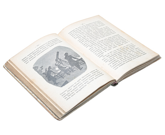 Из жизни. Сборник повестей и рассказов Клавдии Лукашевич