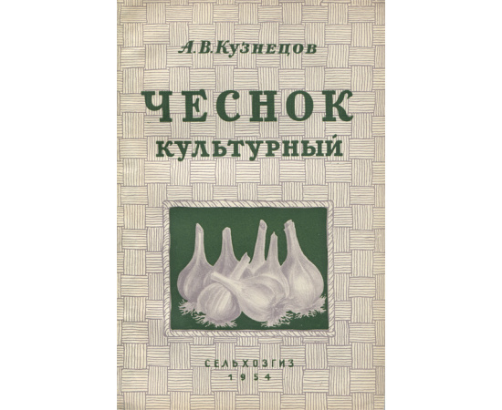 Чеснок культурный