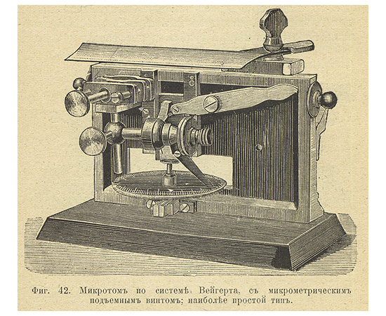 Микроскоп и первые работы с ним