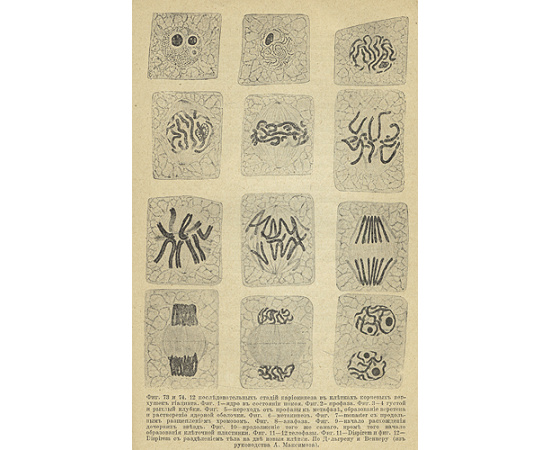 Микроскоп и первые работы с ним