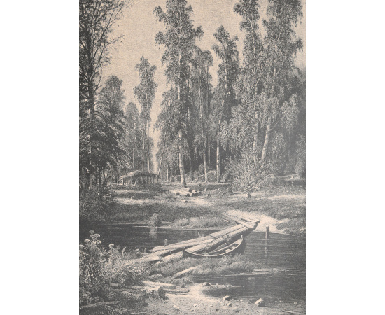 "Лесная речка", И. И. Шишкин. Цинкография. Российская империя, 1893 год
