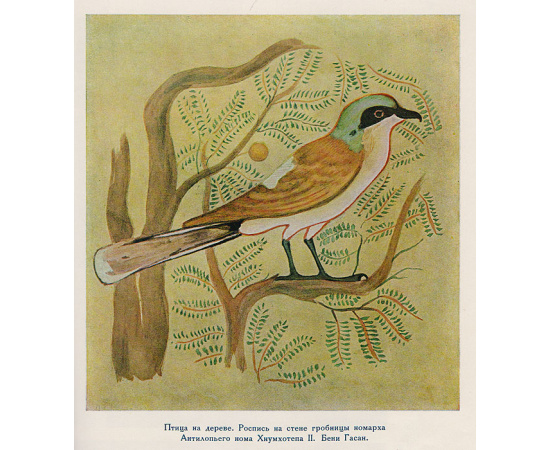 История искусства Древнего Востока. Том I. Древний Египет. Искусство Среднего Царства